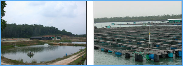 Environmental Planning, Aquacultural Planning,Aquatic Environment Planning